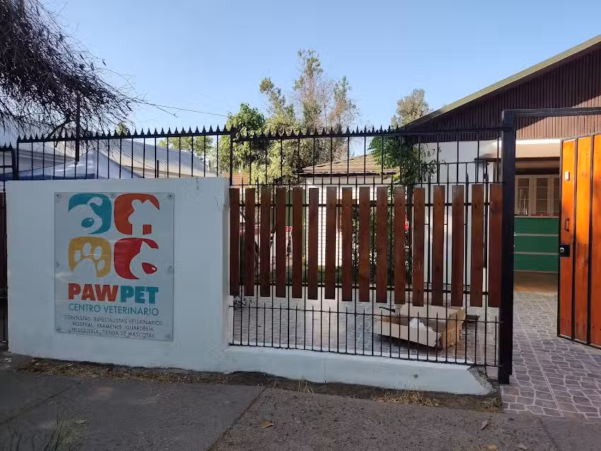 Veterinaria Paw pet
