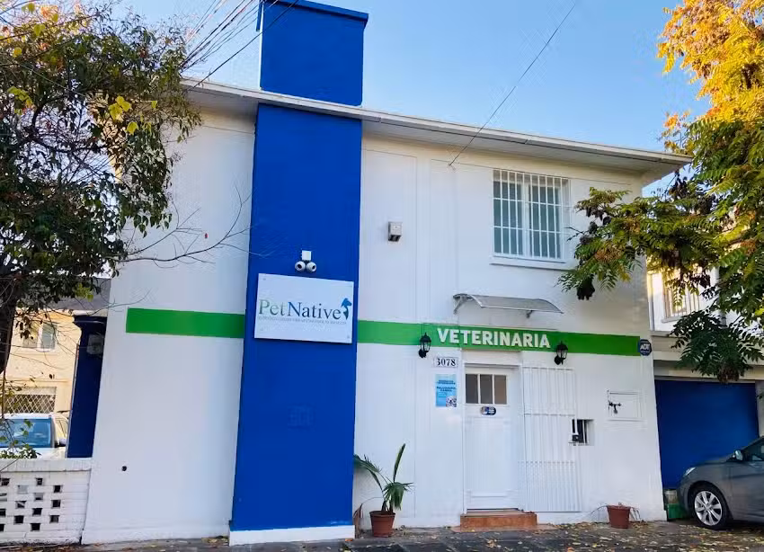 Veterinaria Pet Native