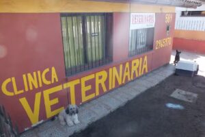 Veterinaria Pet & Vet