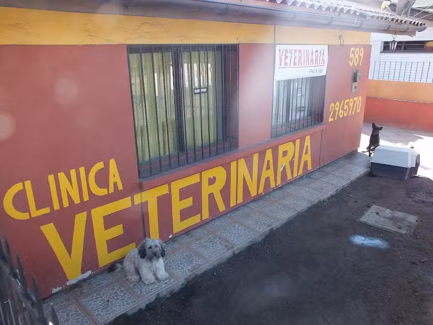 Veterinaria Pet & Vet