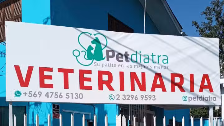 Veterinaria Petdiatra Macul