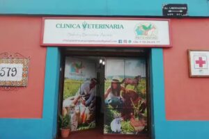 Veterinaria Pets Cotas