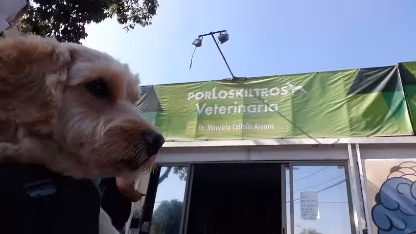 Veterinaria Porloskiltros