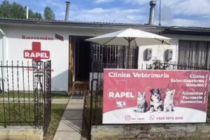 Veterinaria Rapel