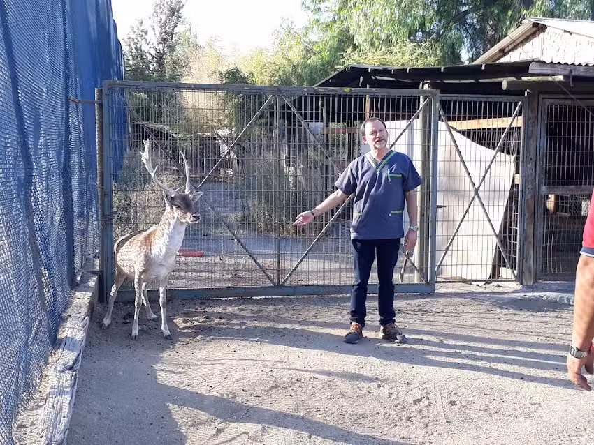 Veterinaria Rinc&oacute;n Veterinario veterinarios a domicilio