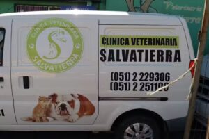 Veterinaria Salvatierra