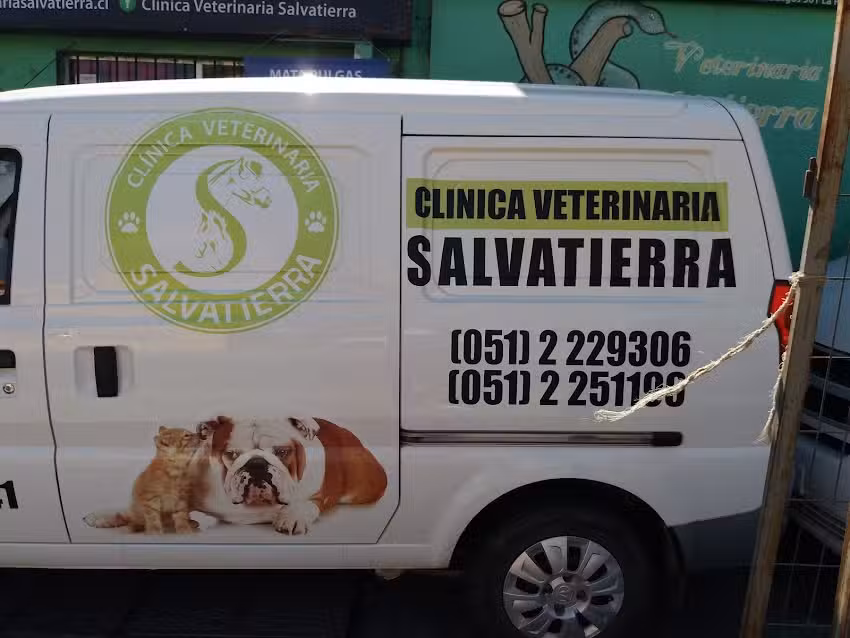 Veterinaria Salvatierra