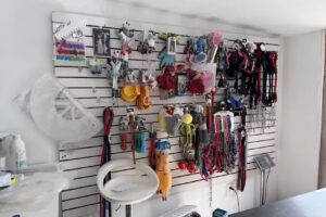 Veterinaria San Agustín