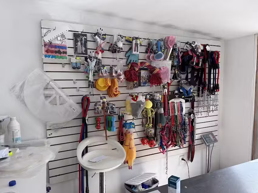 Veterinaria San Agust&iacute;n