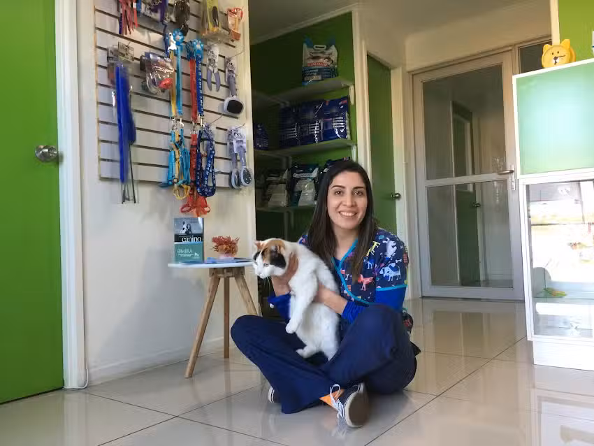 Veterinaria San Andres