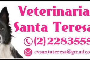 VETERINARIA SANTA TERESA