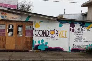 Veterinaria Talcahuano, CondorVet