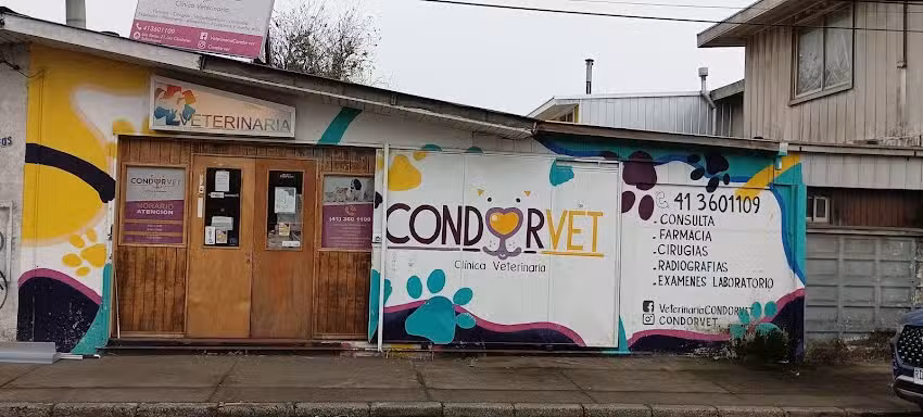 Veterinaria Talcahuano, CondorVet