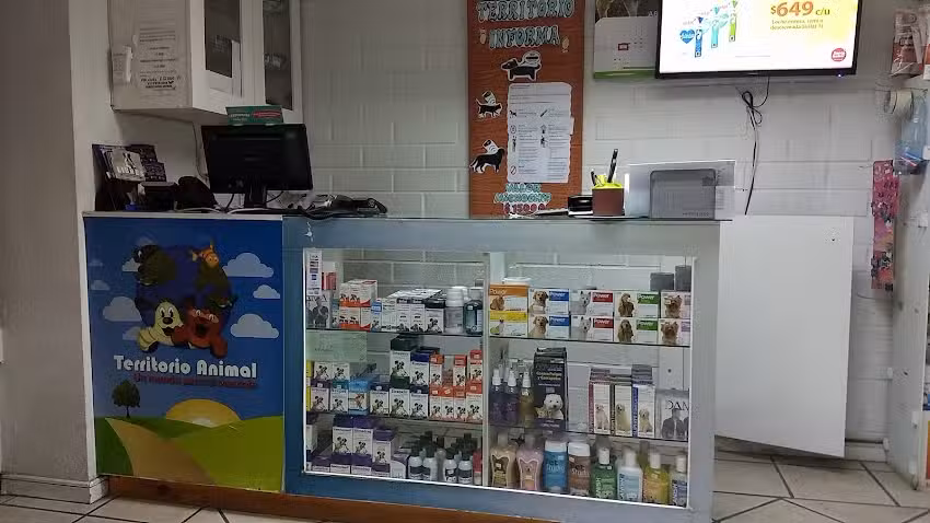 Veterinaria Territorio Animal Quilicura