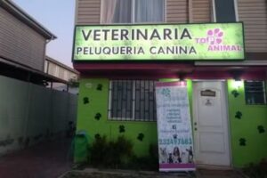 Veterinaria Top Animal Padre Hurtado