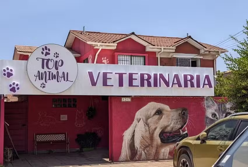 Veterinaria Top Animal