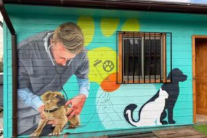 Veterinaria Trecaman