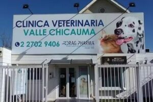 Veterinaria Valle Chicauma