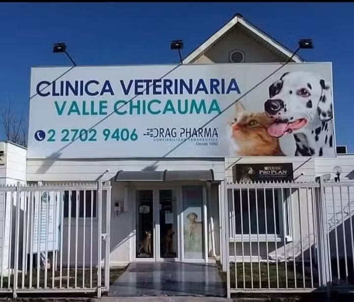 Veterinaria Valle Chicauma