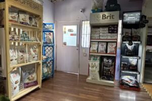 Veterinaria Vet Animal Welfare