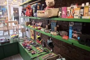 Veterinaria Villarrica🐶🐈🦔🐇🐹 & Pet Boutique Tierra de Mascotas