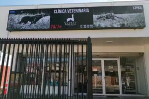 Veterinaria Yastay