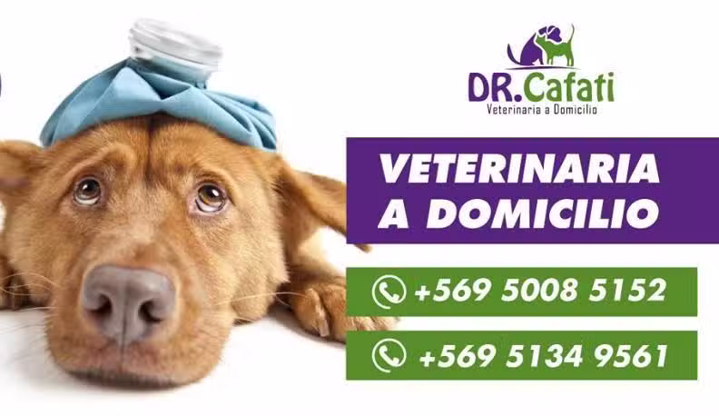 Veterinario Domicilio Santiago Dr Cafati&reg;