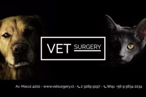 VETSURGERY Cl&iacute;nica Veterinaria, Cirug&iacute;as, Hospitalizaci&oacute;n, Ex&aacute;menes