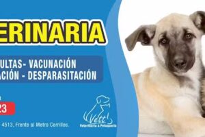 Vett Veterinaria y Peluquer&iacute;a