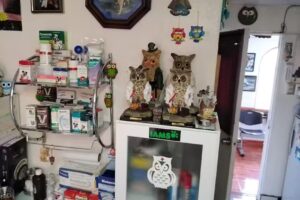 Vilches Morales Marco Antonio